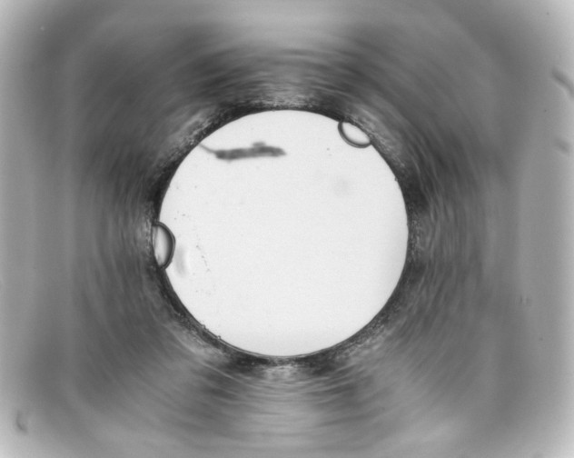 X0000098140309200805081026