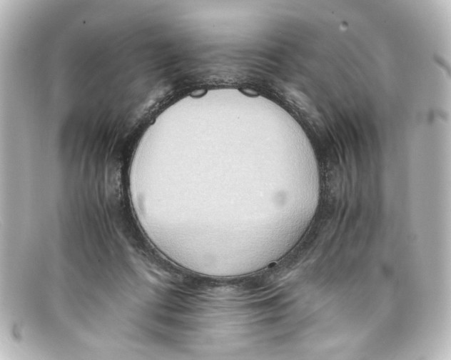 X0000098140312200805081026