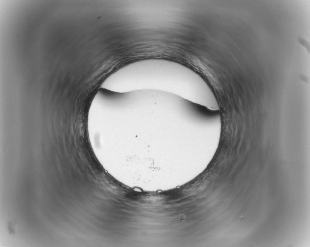 X0000098140313200805081026