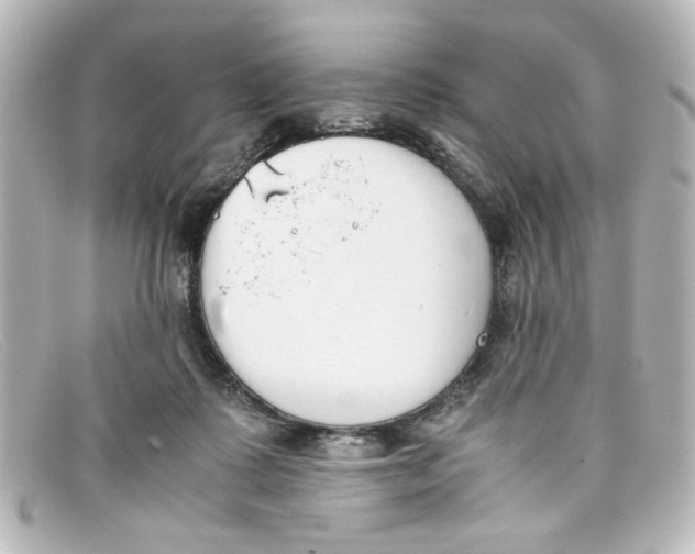 X0000098140315200805081026