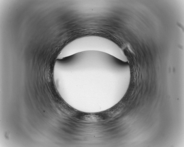 X0000098140316200805081026