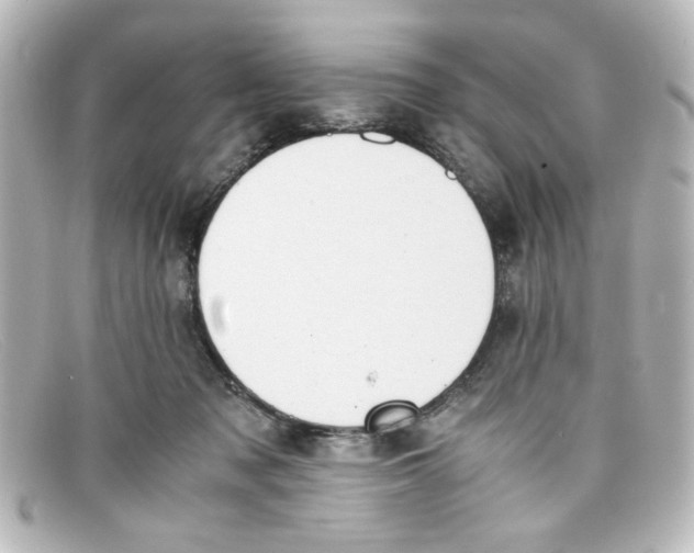 X0000098140317200805081026