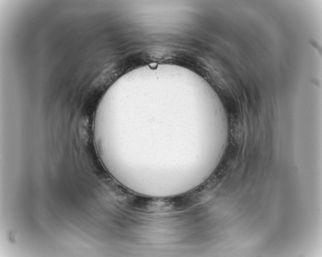 X0000098140319200805081026