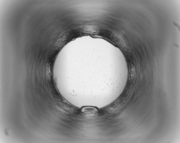 X0000098140320200805081026