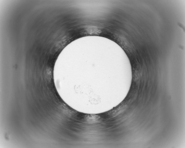 X0000098140321200805081026