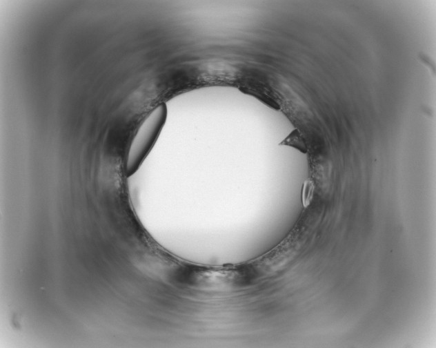 X0000098140323200805081026