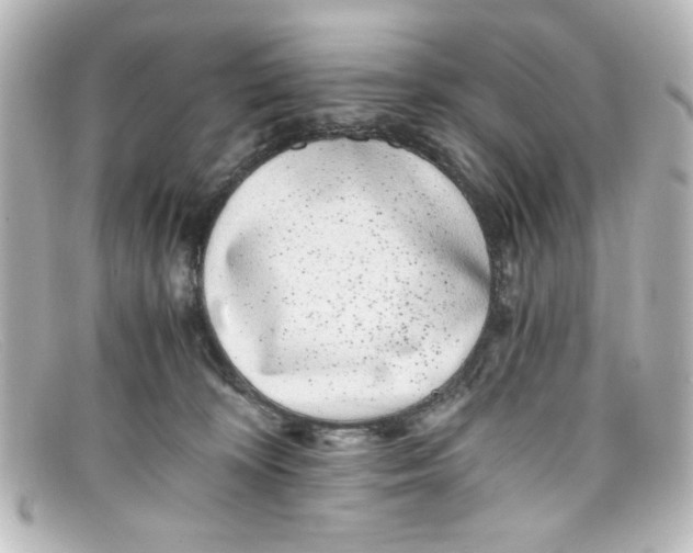 X0000098140324200805081026