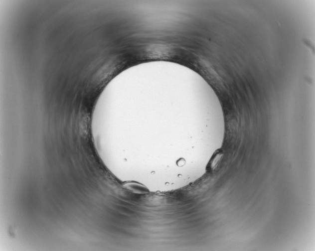 X0000098140325200805081026