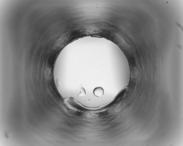 X0000098140327200805081025