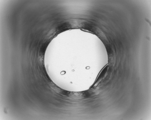 X0000098140329200805081025