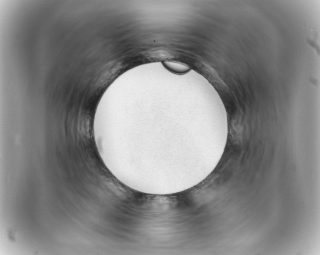 X0000098140330200805081025