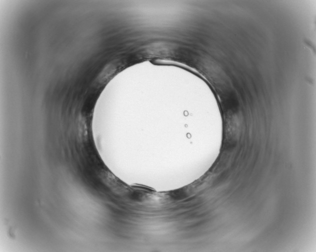 X0000098140333200805081025