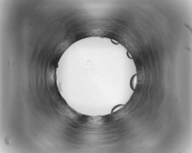 X0000098140334200805081025