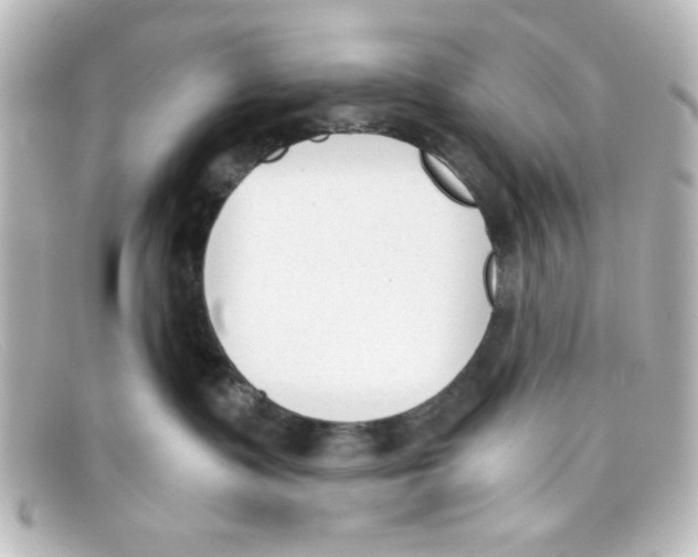 X0000098140335200805081025