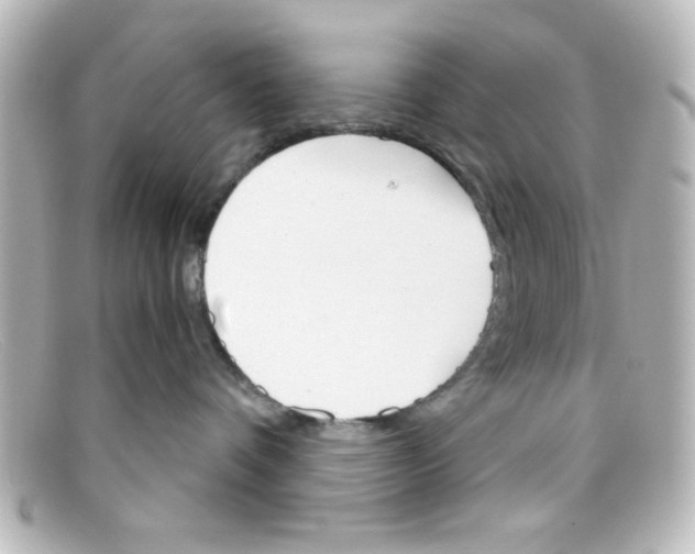 X0000098140336200805081025