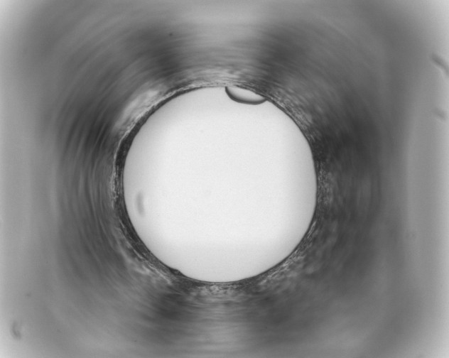 X0000098140338200805081025