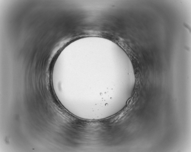 X0000098140342200805081025