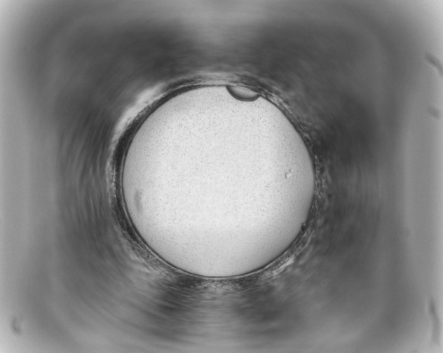 X0000098140343200805081025