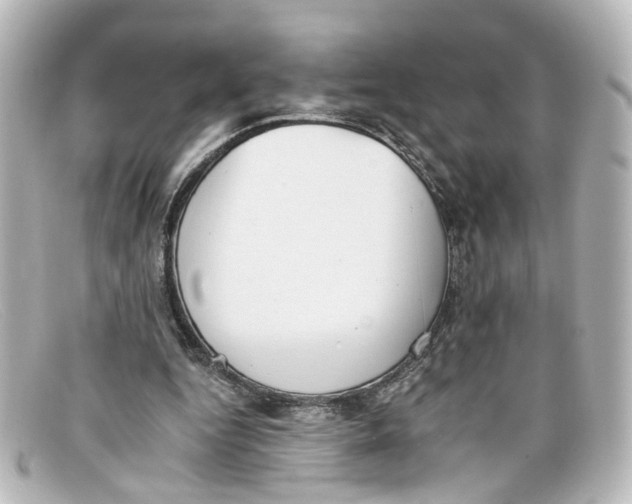 X0000098140344200805081025