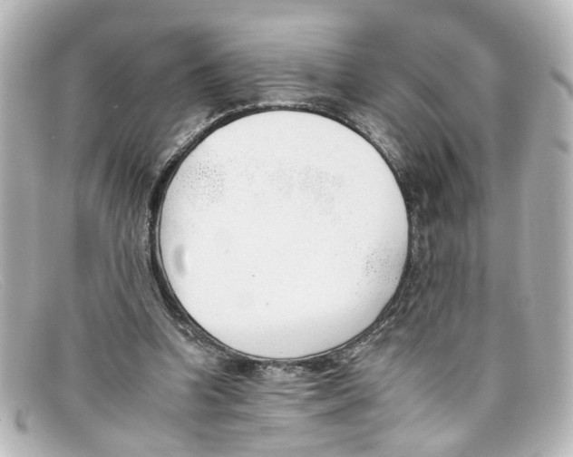 X0000098140346200805081025