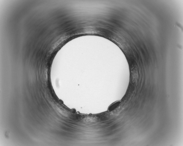 X0000098140350200805081025