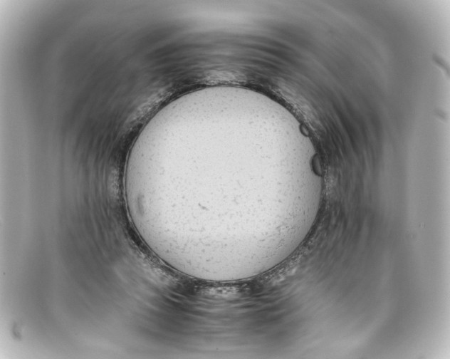 X0000098140353200805081025