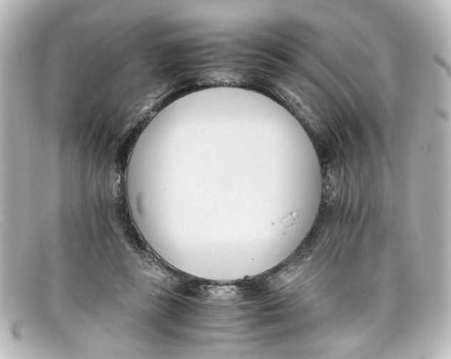 X0000098140355200805081025