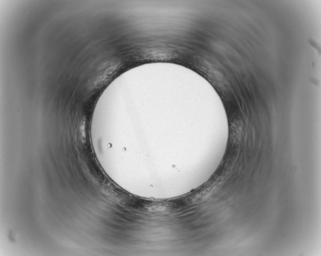 X0000098140358200805081025