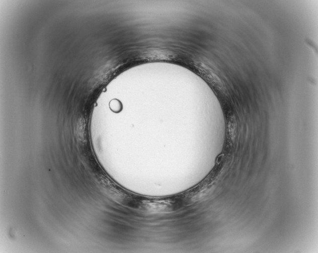 X0000098140359200805081025