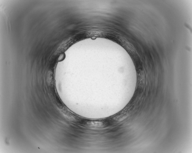 X0000098140361200805081025