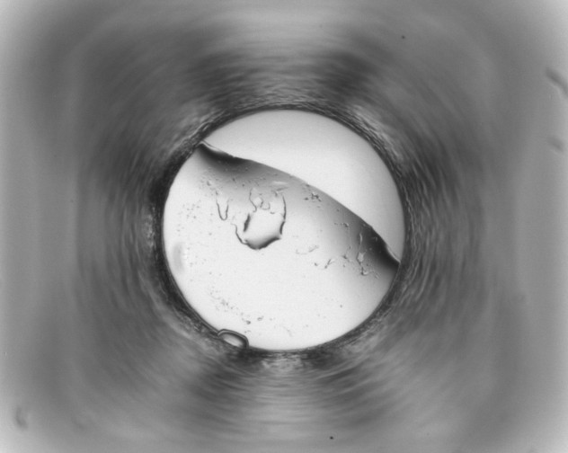 X0000098140362200805081025