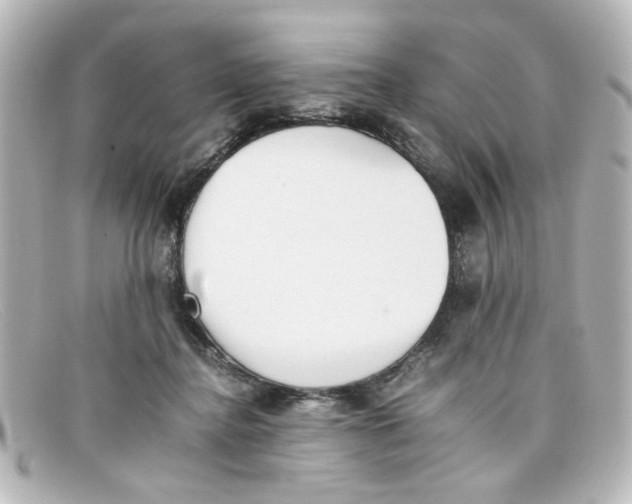 X0000098140364200805081025