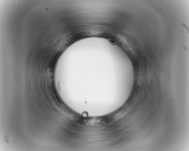 X0000098140366200805081025