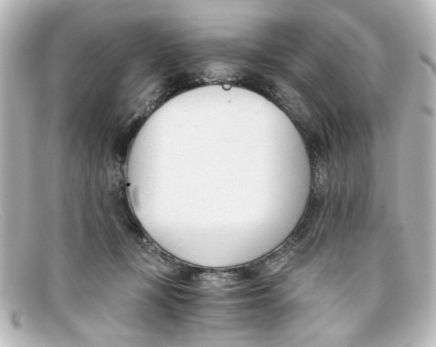 X0000098140367200805081025