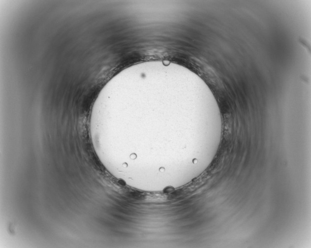 X0000098140369200805081025