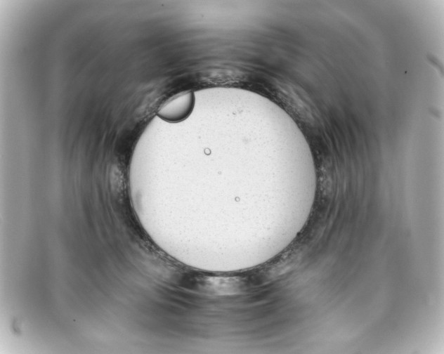 X0000098140371200805081025