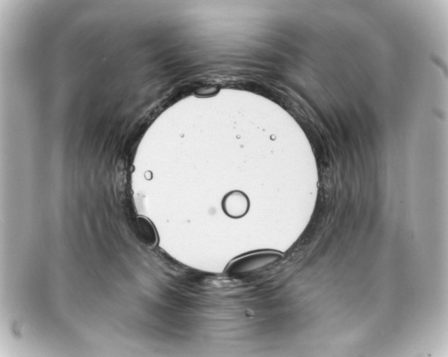 X0000098140372200805081025