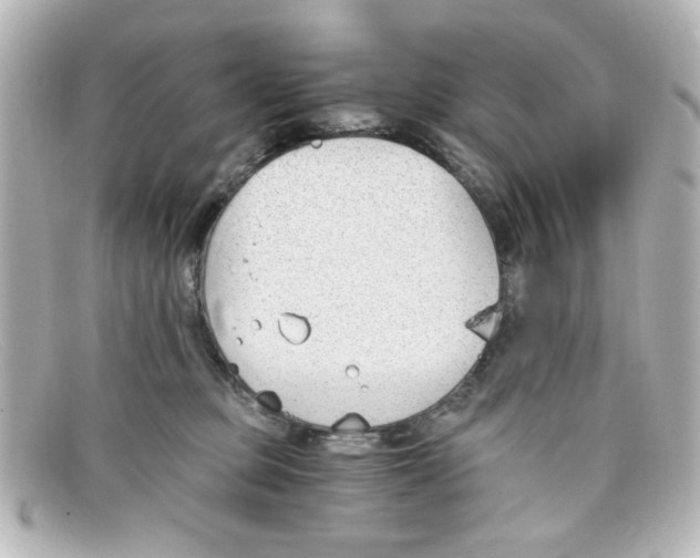 X0000098140373200805081025