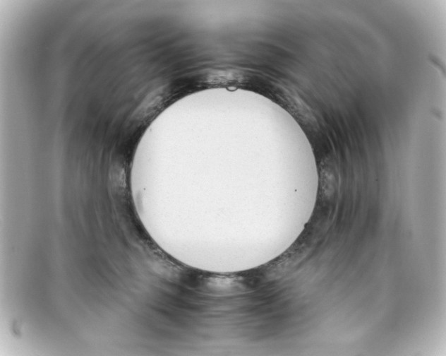 X0000098140375200805081025