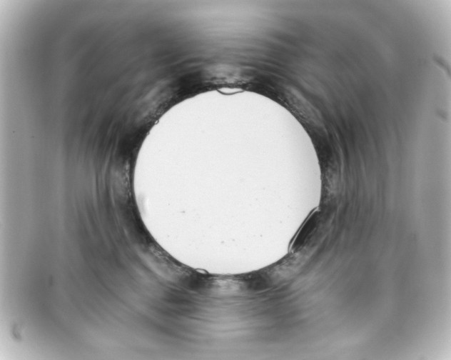 X0000098140376200805081025