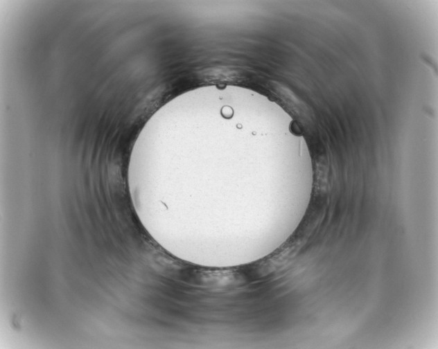 X0000098140377200805081025