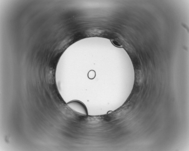 X0000098140378200805081025