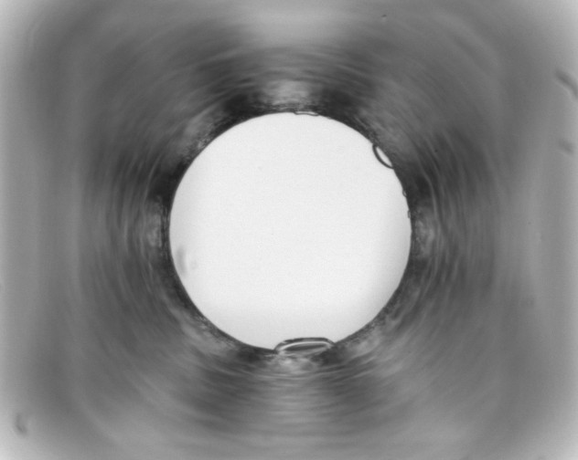 X0000098140379200805081025