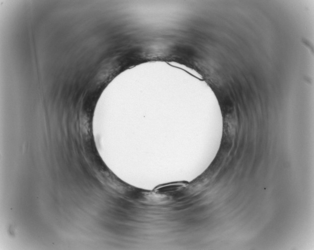 X0000098140380200805081025