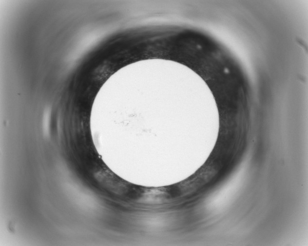 X0000098140382200805081025