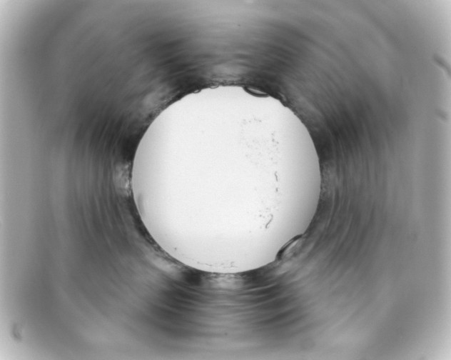 X0000098140383200805081025