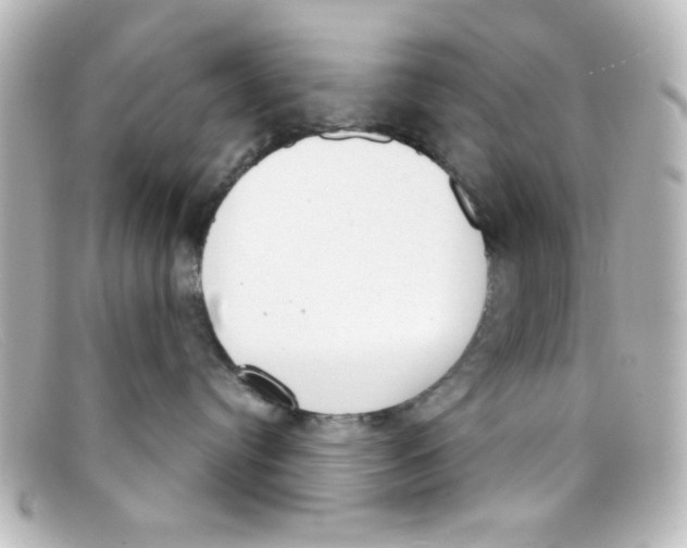 X0000098140384200805081025