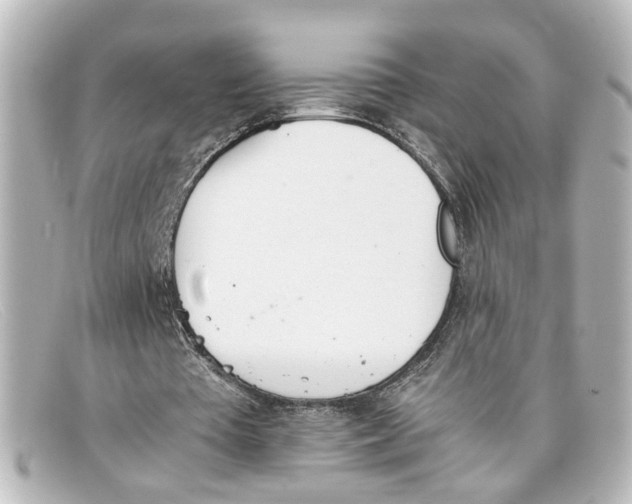 X0000098140385200805081025