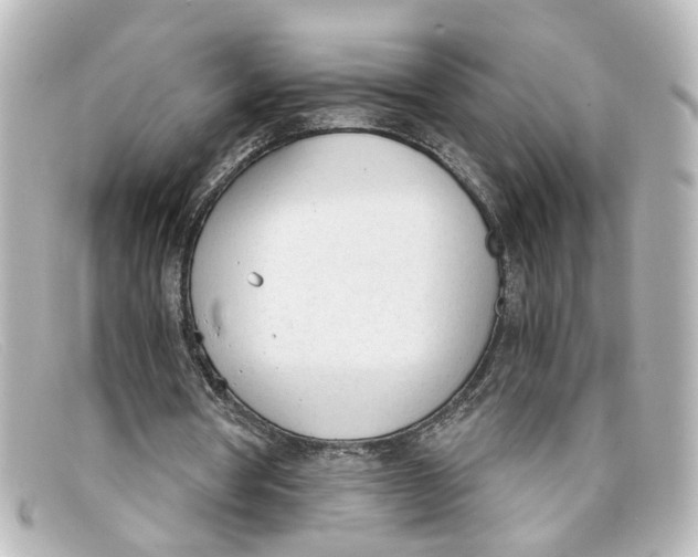 X0000098140386200805081025