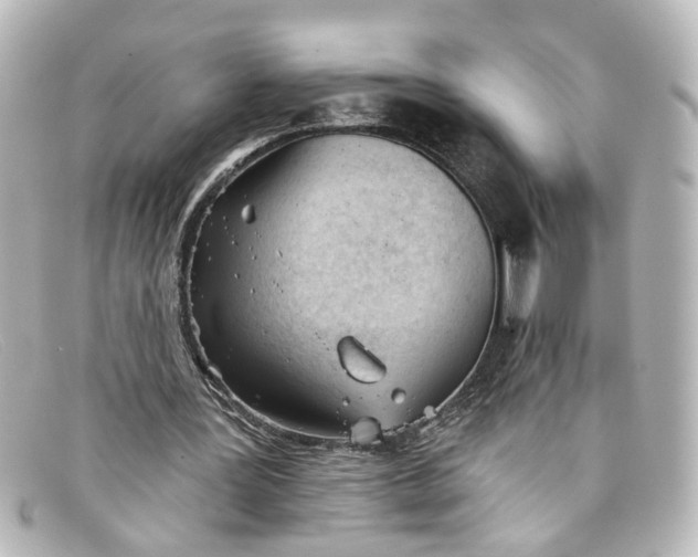 X0000098140387200805081025